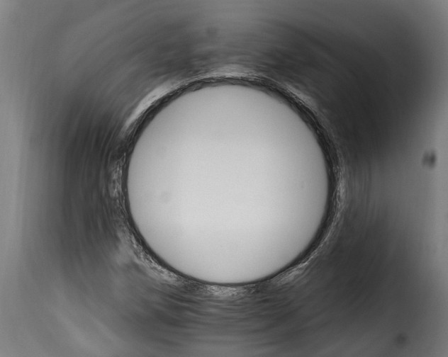 X0000115651258200911241726