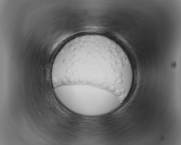 X0000115651259200911241726