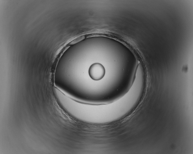 X0000115651260200911241726