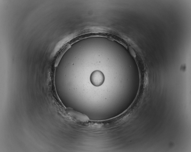 X0000115651261200911241726