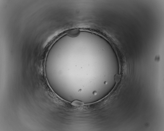 X0000115651262200911241726