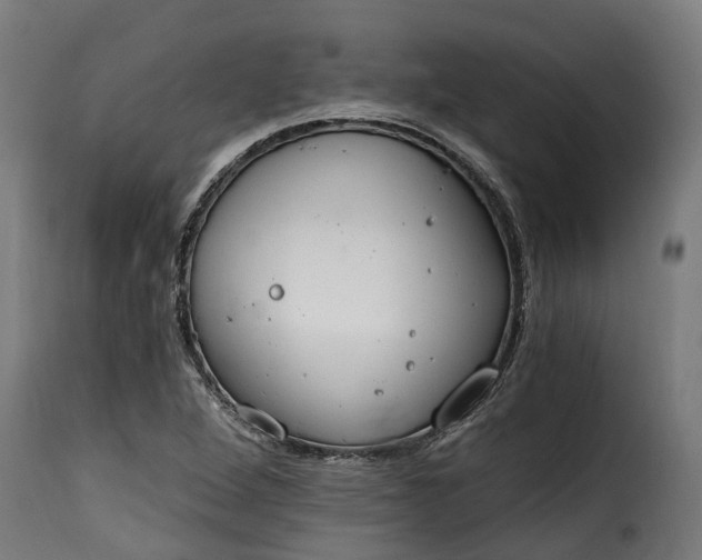 X0000115651264200911241726