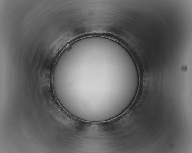 X0000115651265200911241726