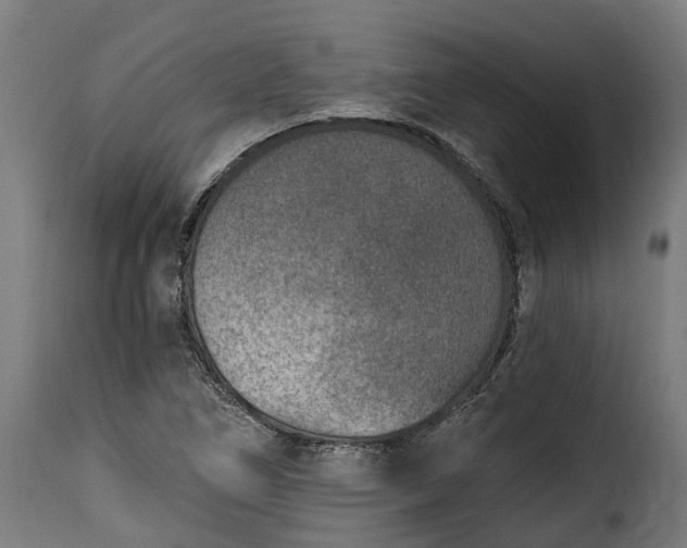 X0000115651266200911241726