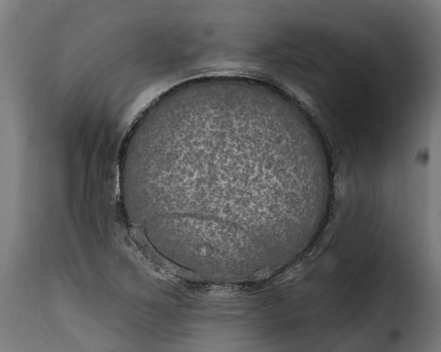 X0000115651267200911241726