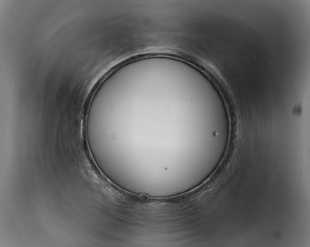 X0000115651268200911241726