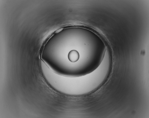 X0000115651269200911241726