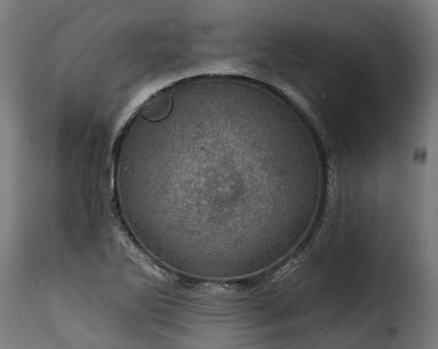 X0000115651270200911241726