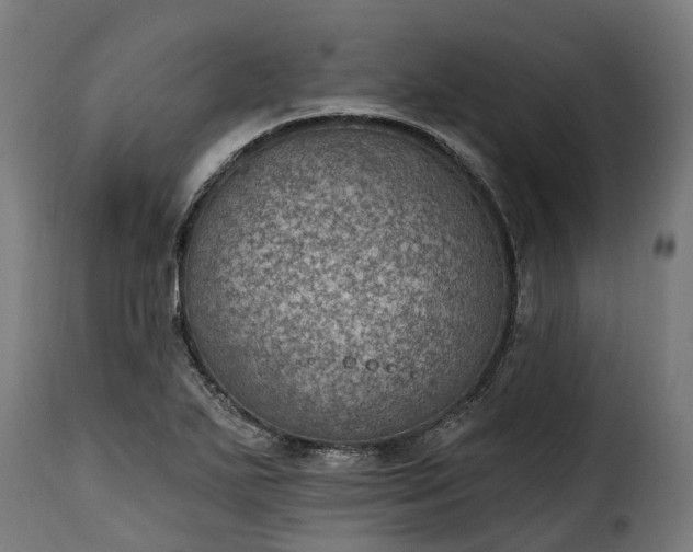 X0000115651271200911241726