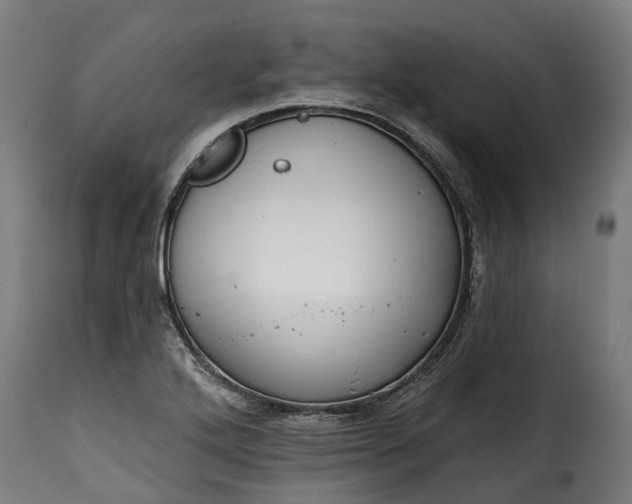 X0000115651272200911241726