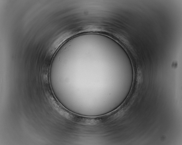 X0000115651273200911241726