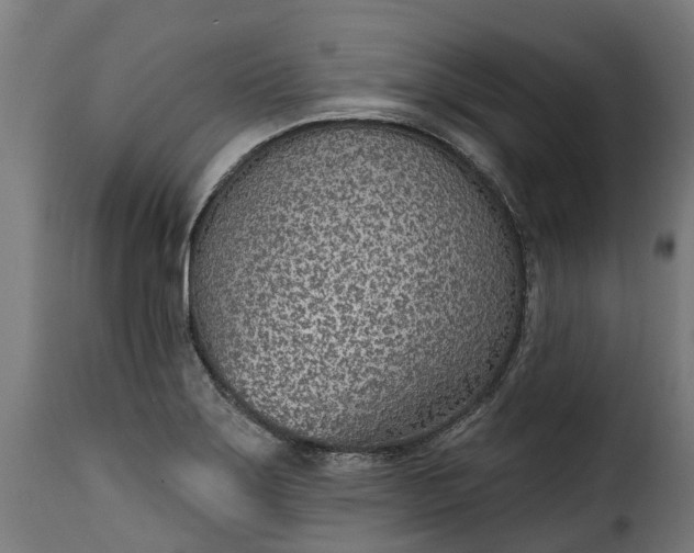 X0000115651275200911241726