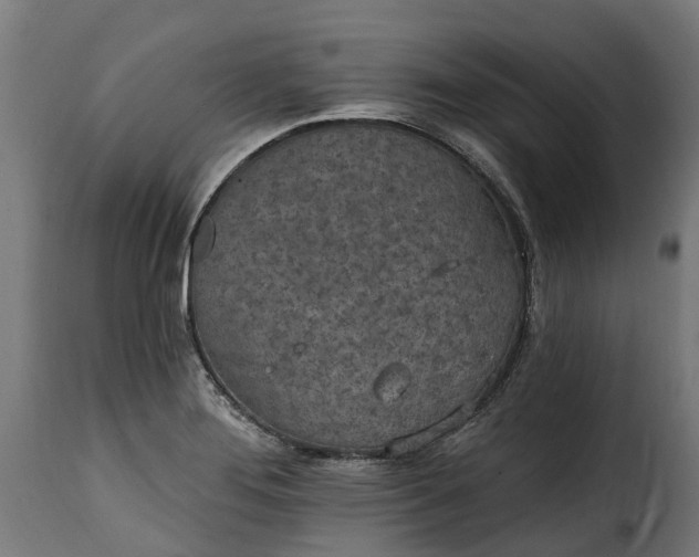 X0000115651276200911241726