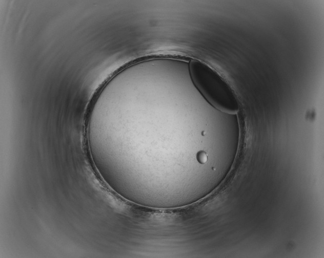 X0000115651277200911241726