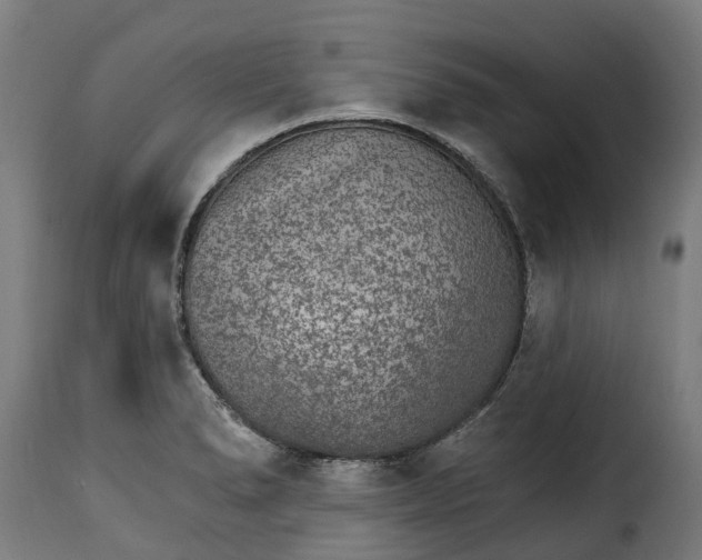 X0000115651278200911241726