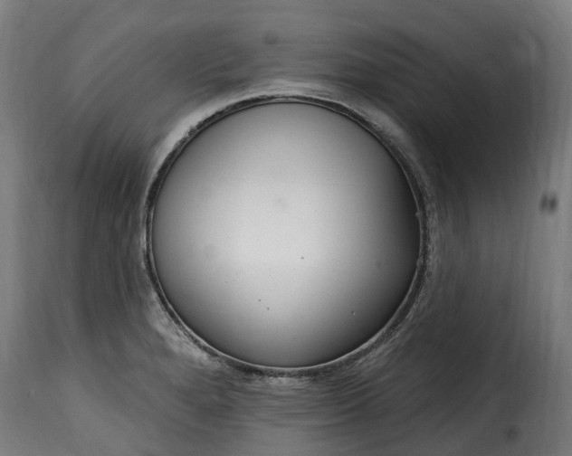 X0000115651280200911241726