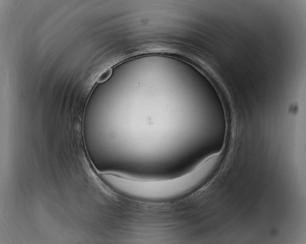 X0000115651281200911241726