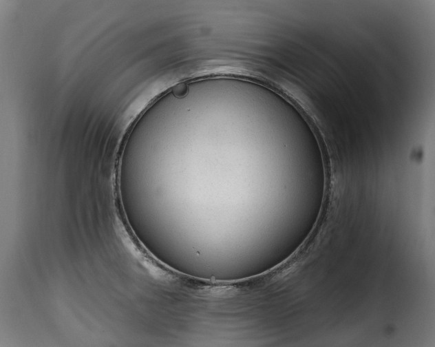 X0000115651282200911241726