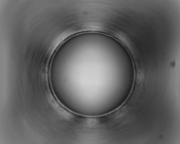 X0000115651283200911241726