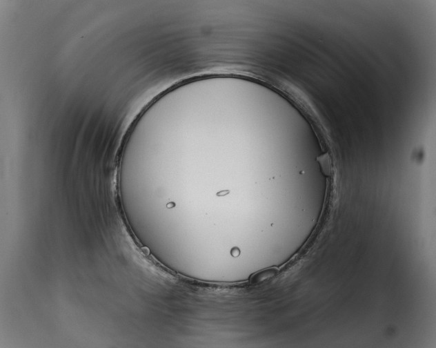 X0000115651284200911241726