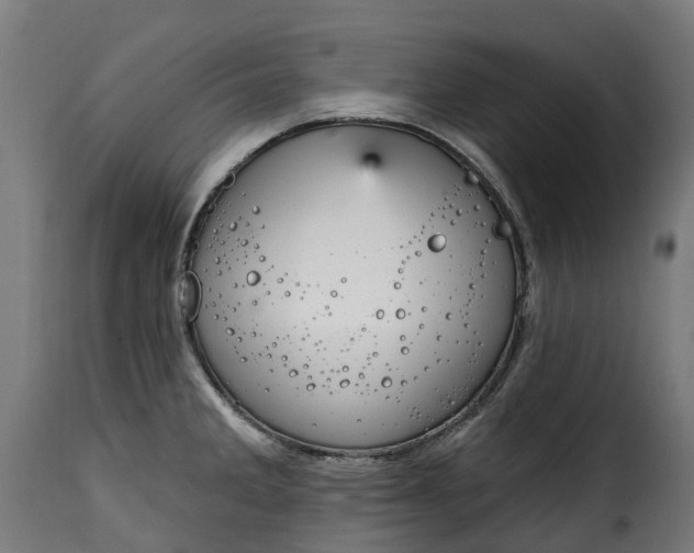 X0000115651285200911241726