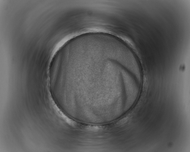 X0000115651286200911241726