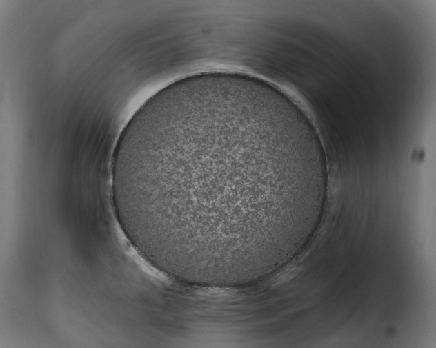 X0000115651287200911241726