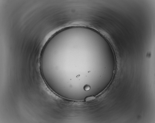 X0000115651288200911241726