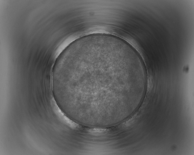 X0000115651290200911241726