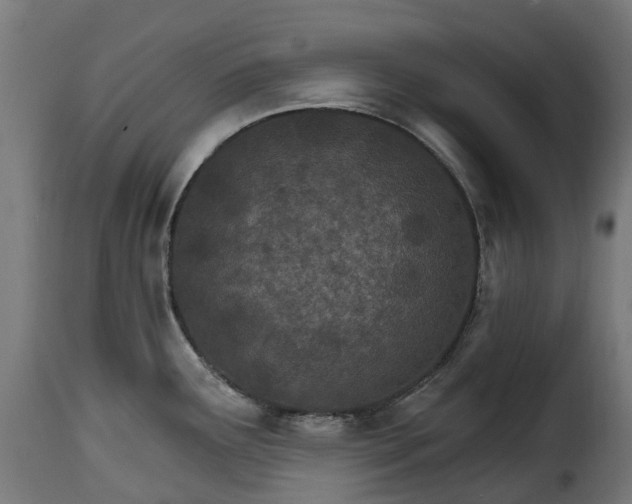 X0000115651291200911241726