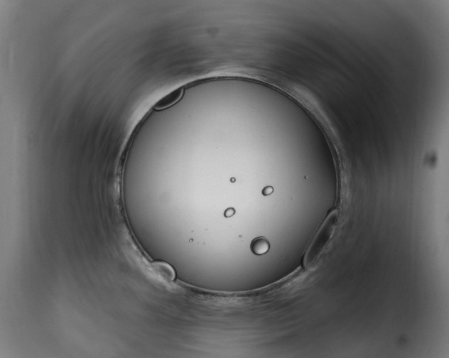 X0000115651292200911241725