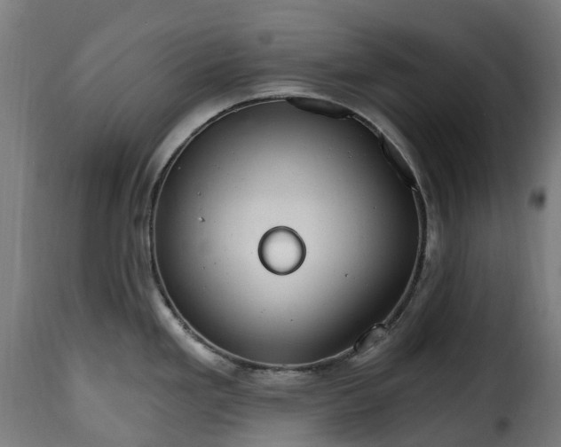 X0000115651293200911241725