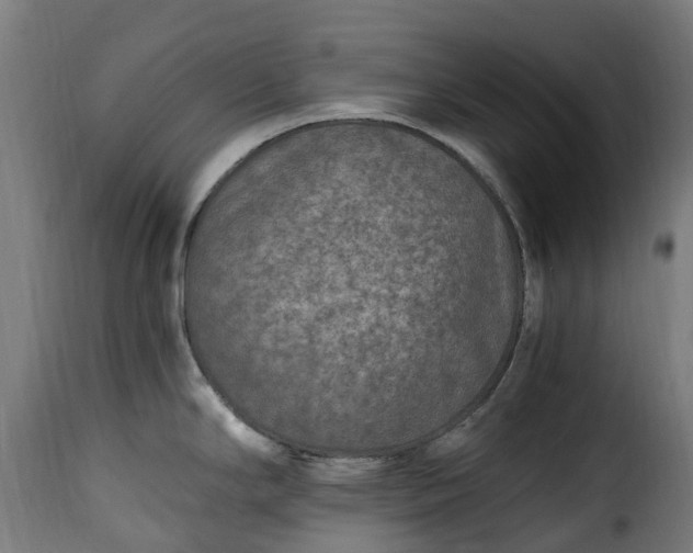 X0000115651294200911241725