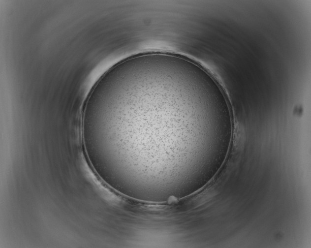 X0000115651295200911241725