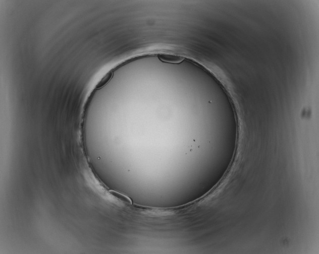 X0000115651296200911241725