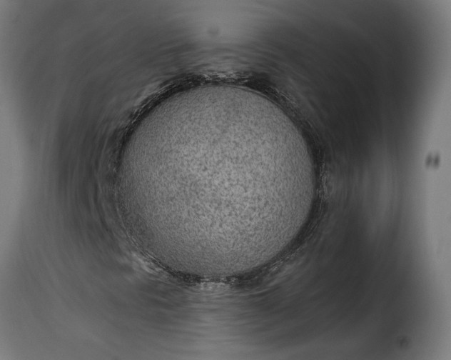 X0000115651297200911241725