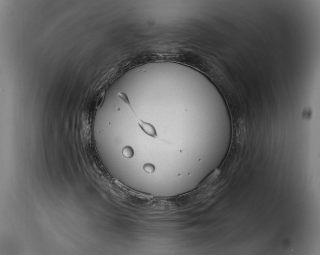 X0000115651298200911241725