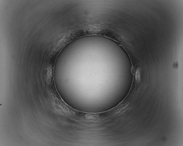 X0000115651299200911241725