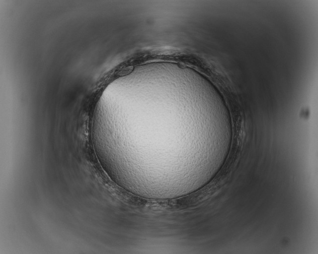 X0000115651301200911241725