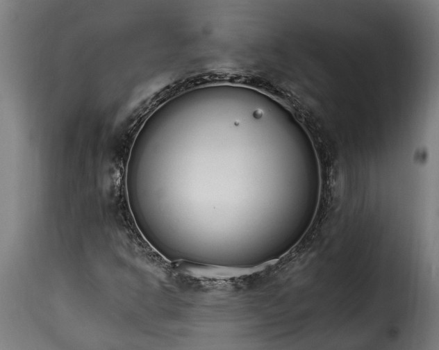 X0000115651302200911241725