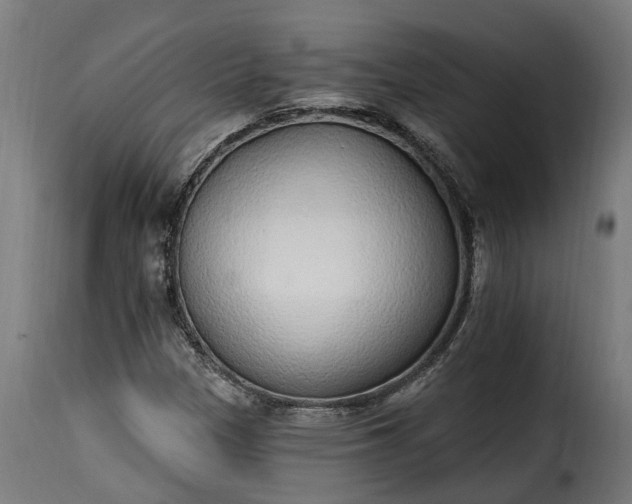 X0000115651305200911241725