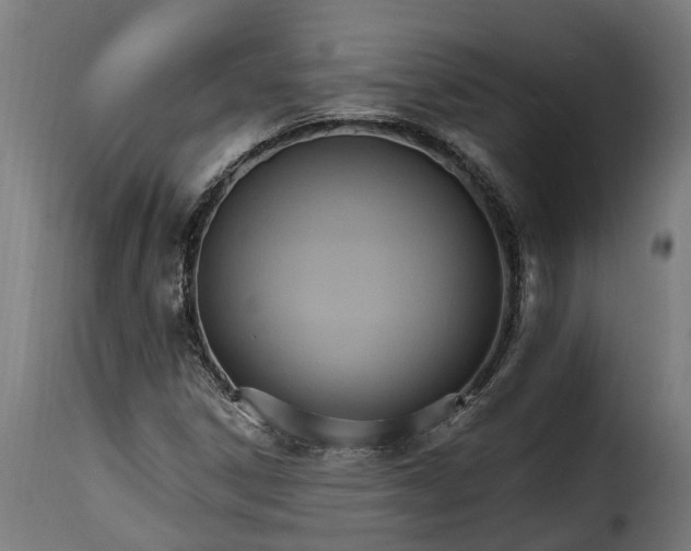 X0000115651306200911241725