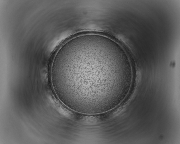 X0000115651307200911241725