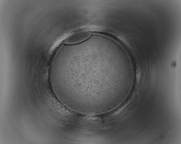 X0000115651309200911241725