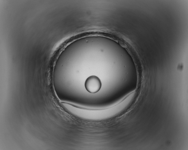 X0000115651310200911241725