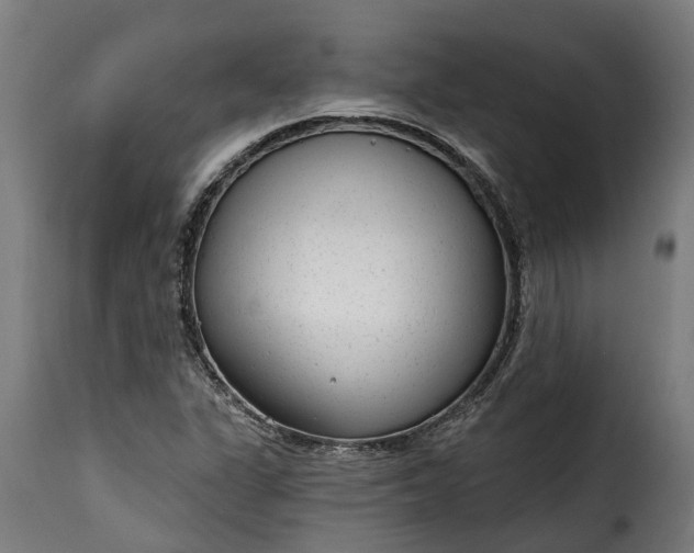 X0000115651311200911241725