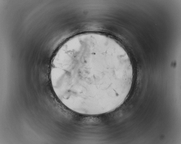 X0000115651314200911241725