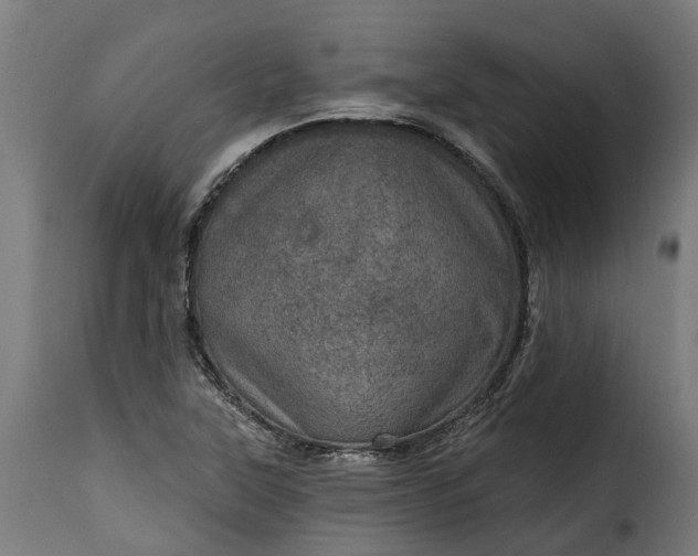 X0000115651315200911241725