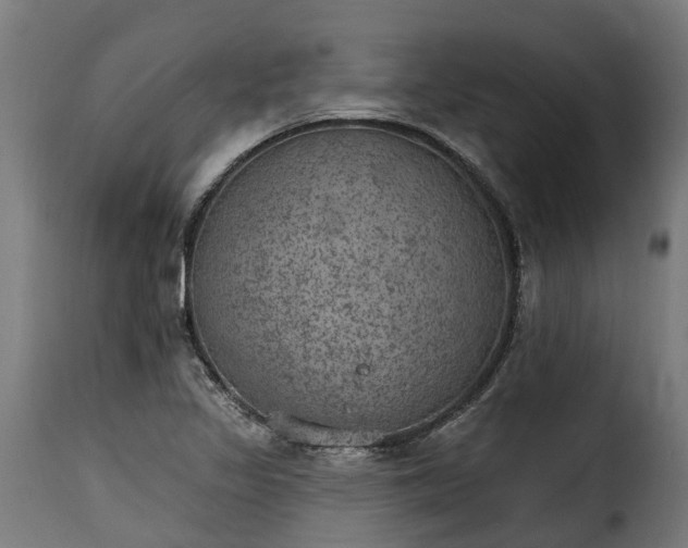 X0000115651317200911241725