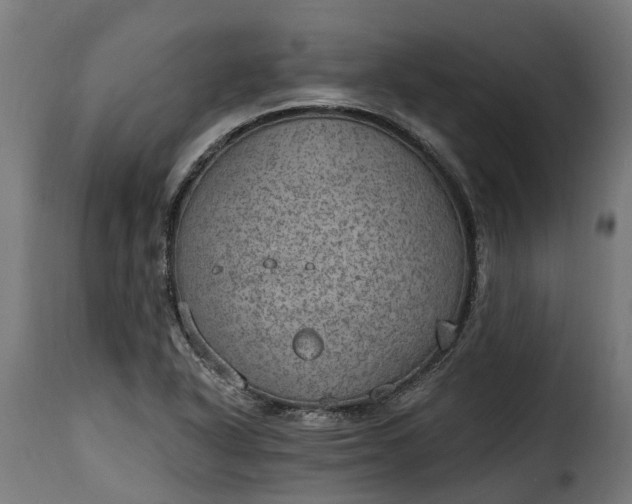 X0000115651318200911241725